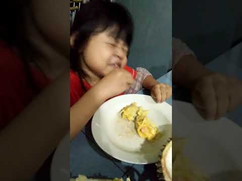 660+ Upin Ipin Hantu Durian Full Gratis