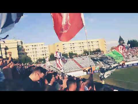 Rapid ASU Poli Timisoara