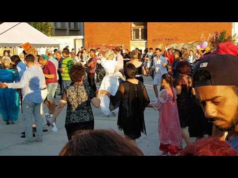 Ork gazoza 2016 live