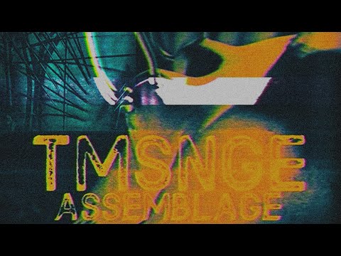 Assemblage // TMSNGE