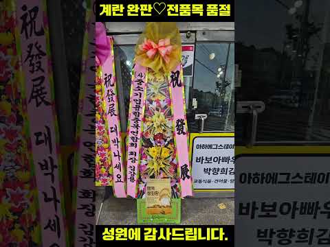 “계란 완판… 이게 현실인가요? 개업식에서 벌어진 기적”    아무도 예상 못한 결과… 개업식 하루 만에 전부 품절