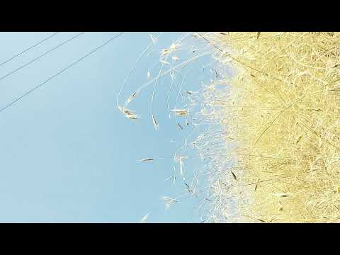 Carlos Bandera - Spirare II (2023) for vibraphone, marimba, and two pianos