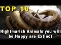 Top 10 Nightmarish Animals you’ll be Happy are Extinct
