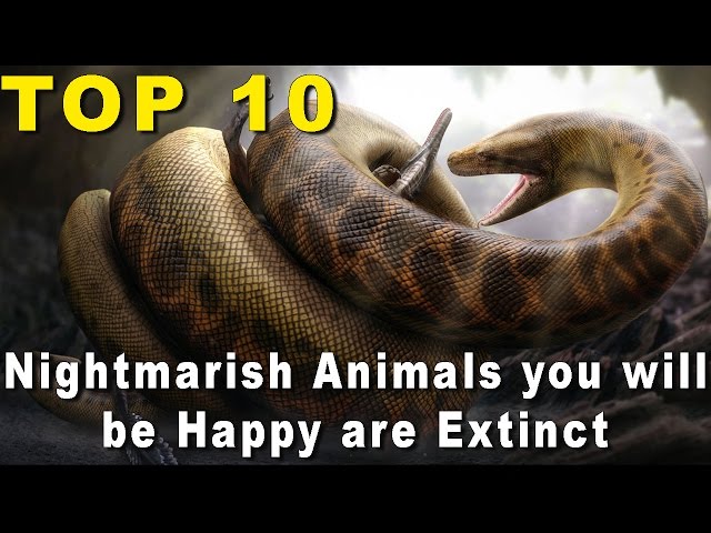 Top 10 Nightmarish Animals you’ll be Happy are Extinct