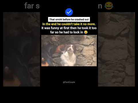 That smirk before he crashed out