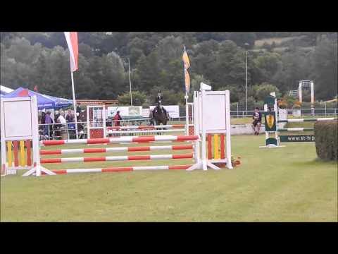 E Springen + Abreiten [Schlitz, 14.6.14, La Divina S]