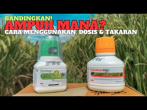 The difference between Prevathon 50sc and Prevathon Pro, a powerful drug to kill rice stem borers...