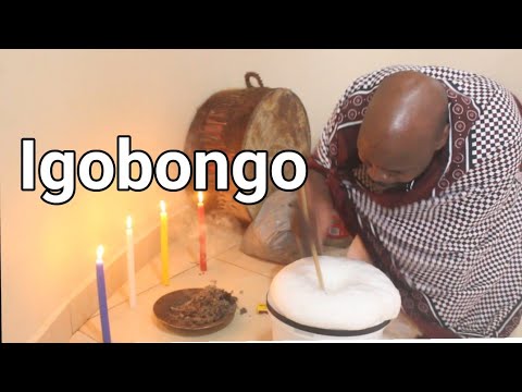 Igobongo | Dr Mnguni