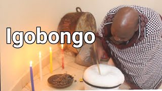 Download lagu Igobongo | Dr Mnguni mp3 Download lagu Igobongo | Dr Mnguni mp3