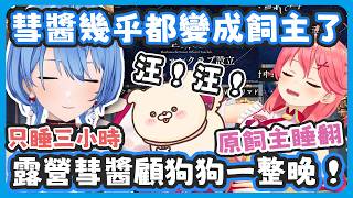 露營當晚狗狗狂叫讓彗醬整晚顧著狗狗親 ! 結果35在一旁呼呼大睡完全不受影響 ! / 看35超抗拒彗醬決定帶35去冬季露營 !【さくらみこ/星街すいせい】