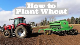 How to Plant Wheat ((Easy to Learn))