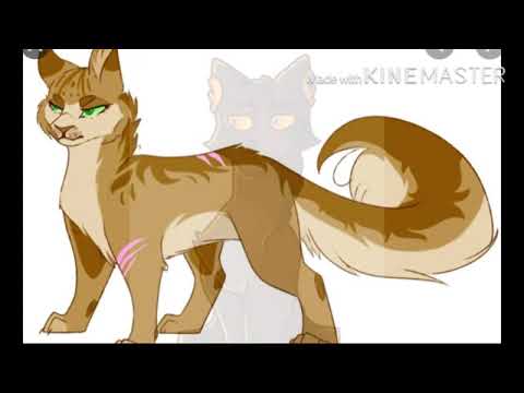 FRIENDS~ sandstorm and dustpelt