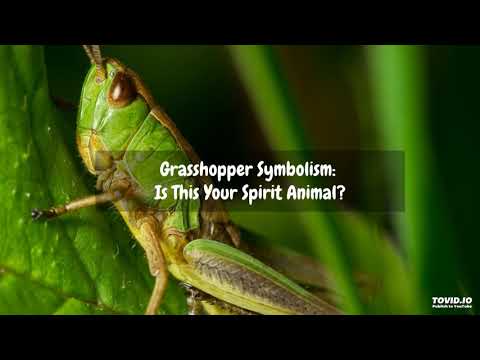 image-What does a grasshopper symbolize?