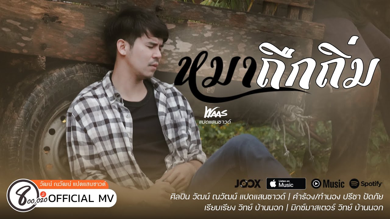 เนื้อเพลง หมาถืกถิ่ม วัฒน์ ณวัฒน์ แปดแสนซาวด์