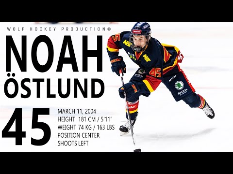 Vidéo: On veut Noah Ostlund à Montréal!!!
