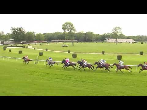 BA 14.5. Dostihy 6 - 25. Jarná cena kobýl spoločnosti LESY SR