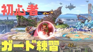 目指せ脱初心者！！ガードを練習&説明する地味動画だよ【スマブラSP】