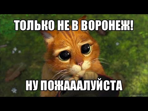 Воронежу приготовиться!