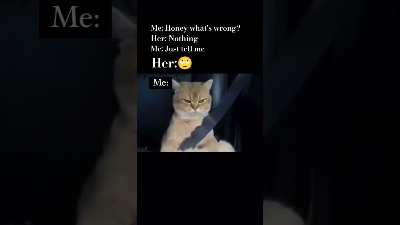 Communication is a thing right?#relatable #cat #funnyrelatablememes #relationships #couple #capcut