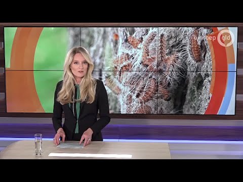 Kijk op Gelderland 11 juni 2019