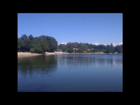 Ego-dystonic sexual orientation - Wikipedia Article Audio