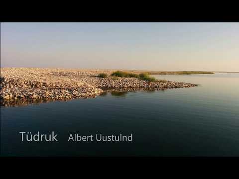 Boris Lehtlaan   Tüdruk