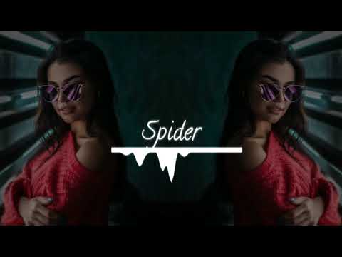DJ Spider Dobra Pompa (Special 100 Subscribers) Summer Mix Best Club Music