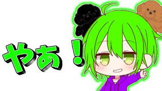 1年ぶりのフォトナ配信！