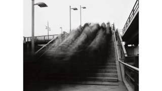 The Amazing ] Perfect Day for Shrimp