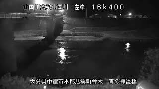 動画のサムネイル