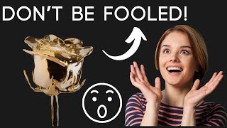 🔴GOLDEN ROSE (ALERT!) GOLDEN ROSE REVIEW 🔥 GOLDEN ROSE REVIEWS – LUXURY GOLD ROSE REVIEWS - LUXURY🔴