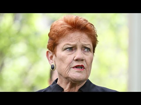 ‘Don’t underestimate me’: Prime Minister still in the picture for Pauline Hanson