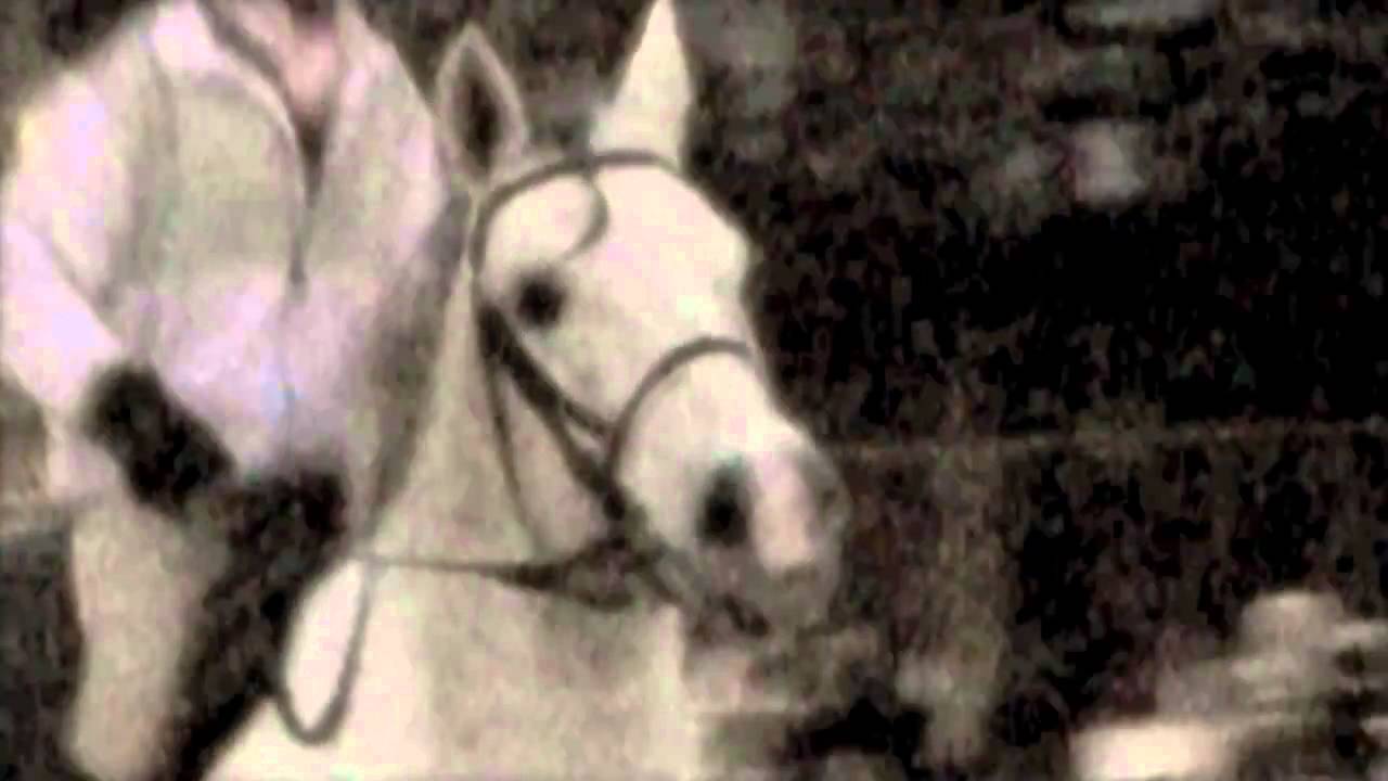 [2010]silver rock farm[2011]