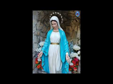 Czatachowa 19.11.2022 - Koronka do Krwawych Łez Maryi