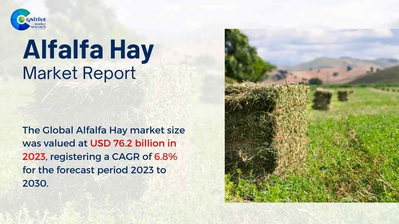 Alfalfa Hay  Market Insights