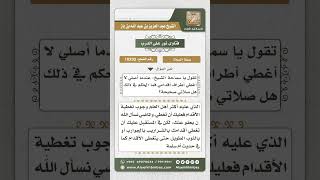 صورة 10293 - حكم تغطية المرأة قدميها في الصلاة  -  نور على الدرب