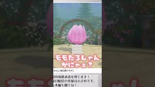 ﾓﾓﾀﾛｻﾝ？【にじさんじ / 朝日南アカネ】