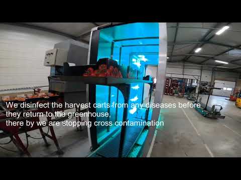 Cleanlight UV-c tunnel