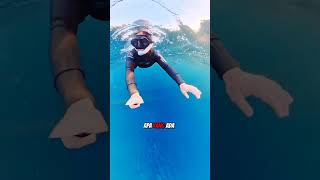 Download lagu A group of small fish turns out to be a bad sign🤯#shortsfeed mp3