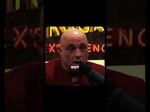MMA is really brutal sport.   Joe Rogan Speech..    #joerogan  #inspiration #motivationspeech