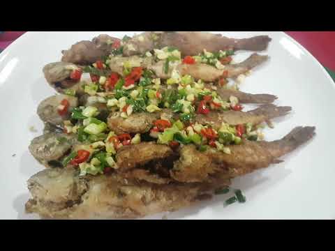 Temporada de cultura marinha da cidade de Huxi ~ Taxas de ensino da temporada de peixe fresco de Beiliao