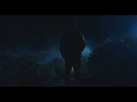 C Marí - DSPB (Visualizer) | Sempre Cor