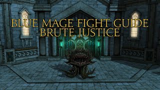 Blue Academy Raid Guide: Brute Justice (A8S)