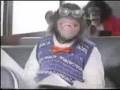 Fruit Rollups Commercial Starring Monkeys