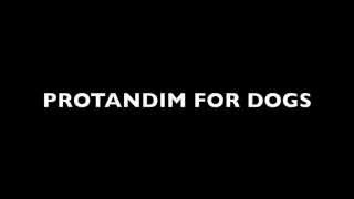Protandim For Dogs