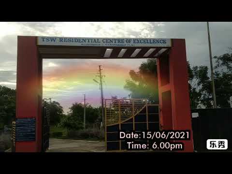 TSWR COE -  KMNR new look with blooming flowers