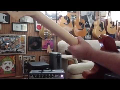 TriGens Amplification Kingston ReVibe Head image 5