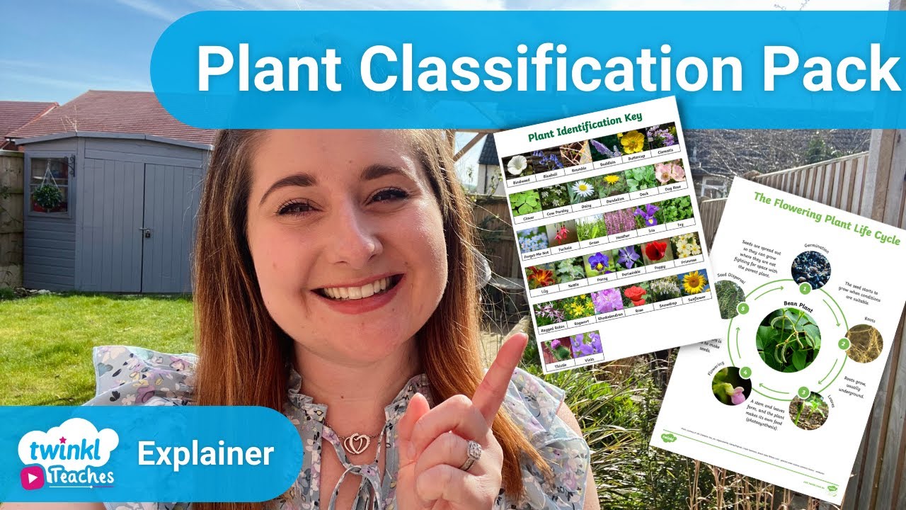 Ways to Use Our Plant Classification Pack