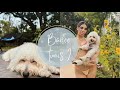 Barfee Turns 2