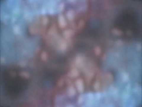 Blank Dogs // Tin Birds YouTube Thumbnail